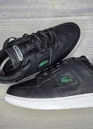 Кроссовки lacoste court cage leather sneakers