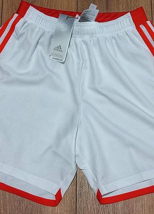 Спортивные шорты adidas
