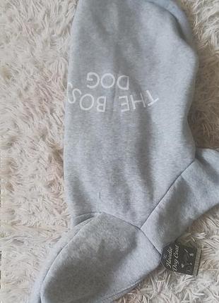 Одяг для собак