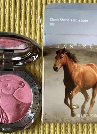 Chantecaille, румяна в оттенке joy