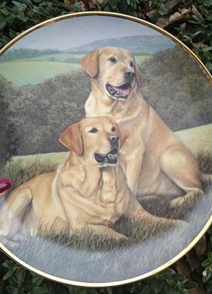 Тарелка с ретриверами от franklin mint  в родной коробке и новая.