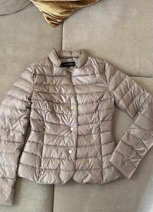 Куртка 100 грамовка escada