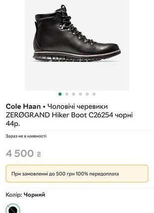 Чоботи cole haan 10