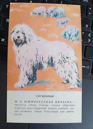 Листівка вінтаж актуально