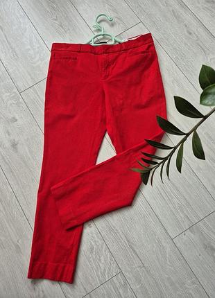 Брюки / брюки женские котоновые