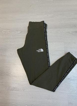 Лосіни tnf