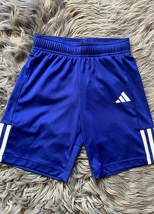 Дуже класні шорти adidas оригінал