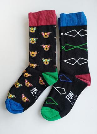 Комплект брендовые носки fun socks 2 пары размер 36-40