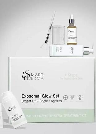Екзосомальна ферментотерапія з ефектом каскадного ліфтингу exo-matrix enzyme system smart4derma (міні-набір)