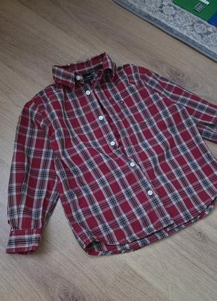 Рубашка рубашка в клетку tommy&amp;hilfiger