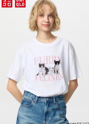 Футболка uniqlo из коллекции cat photographs ut