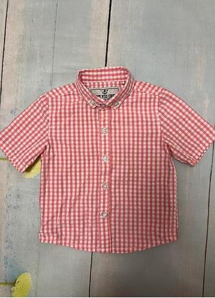 Шведка 9-12 мес