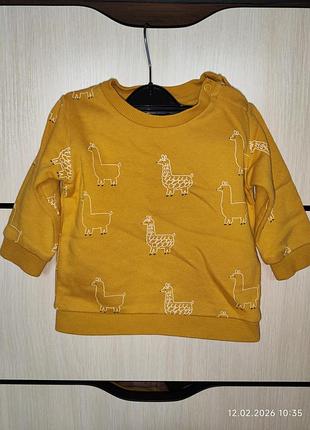 M&amp;s светрик, 3-6м