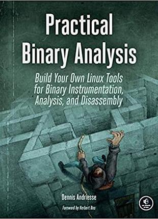 Practical binary analysis: build your own linux tools for binary instrumentation, analysis, and disassembly,