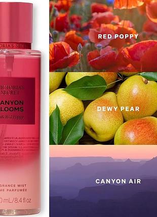 Спрей canyon blooms victoria's secret 250 ml.