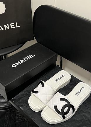 В’єтнамки  шльопки vip gift під замовлення 35-40