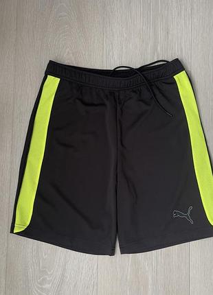 Спортивні шорти