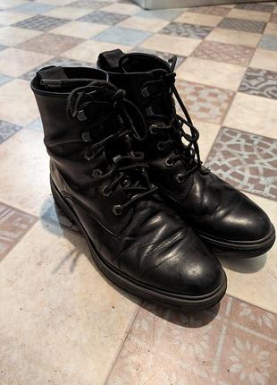 Черевики жіночі timberland