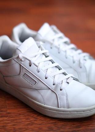 Оригінальні кросівки reebok royal complete clean (арт. cn7332, ty3001). білі кросівки.