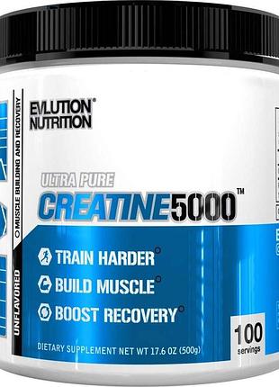 Креатин evlution nutrition creatine 500 г без смаку (4384302532)
