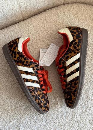 Кросівки adidas samba
