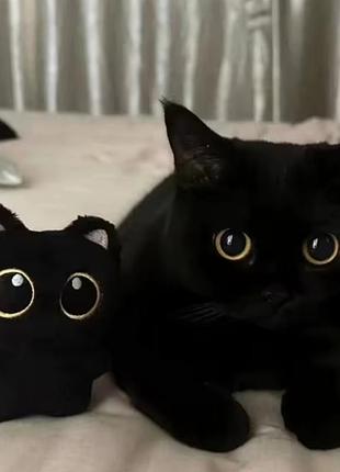 Чёрный плюшевый брелок с котенком