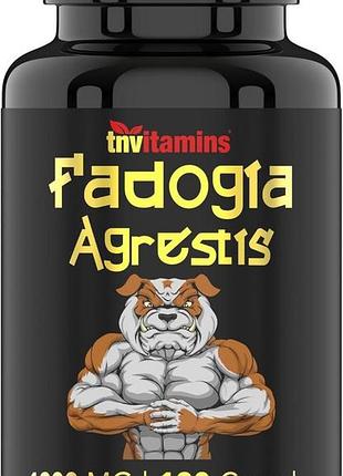 Добавка премиум-класса для поддержании энергии и мышечной массы tnvitamins fadogia agrestis 1200mg 120 капсул