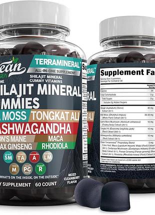 Домішка преміумкласу для загального добробуту clean nutraceuticals shilajit gummies 60 таблеток