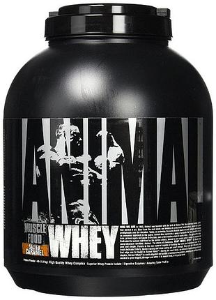 Протеин universal nutrition animal whey 1.814 кг