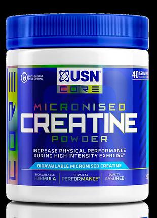 Креатин usn creatine micronized monohydrate 500 г (4384303641)