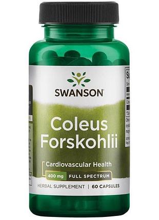 Специальный продукт swanson premium coleus forskohlii 60 капсул (4384302490)