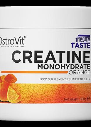 Креатин ostrovit creatine monohydrate 300 грамм (4384304454)
