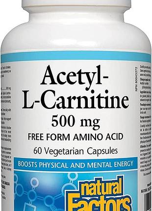 Natural factors acetyl l-carnitine 60 капсул (4384304709)