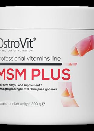 Хондропротектор ostrovit msm plus 300 г без вкуса (4384303233)