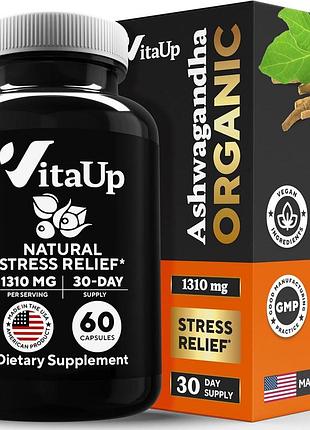 Органическая ашваганда премиум-класса vitaup ashwagandha 60 капсул