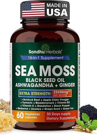 Идеальная формула для здоровья суставов, кожи и волос sandhuherbals sea moss 60 капсул