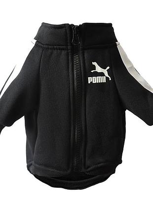 Спортивна кофта для котів pet style "sport" чорна 2xl