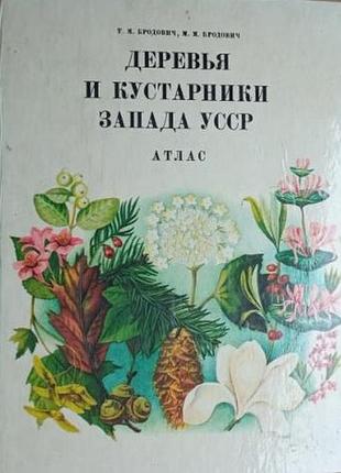 Деревья и кустарники запада усср.  атлас.   львов вища школа 1979г. 252 с., ил.  бродович т., бродович м.  переплет: твердый, энциклопедический форма