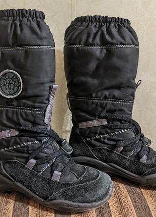Зимние сапоги ecco