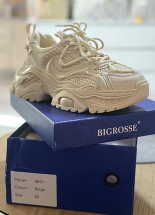 Кросівки bigrosse