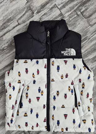 Жилетка безрукавка дитяча тепла tnf
