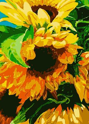 Картина по номерам яркие подсолнухи artissimo pn2012 60