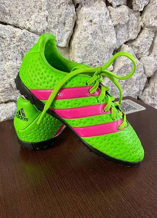 Сороконіжки  adidas