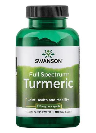 Turmeric 720 mg - 100 caps