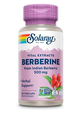 Berberine from indian barberry 500mg - 60 vcaps