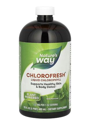 Chlorofresh® liquid - 16 oz mint