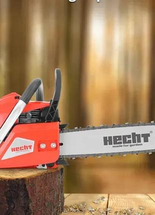 Hecht962 8