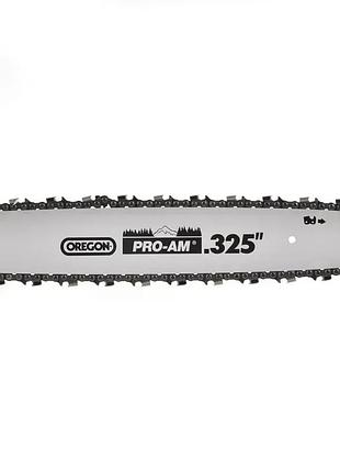 Hecht945 4