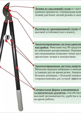 Сучкорез для обрезки деревьев bellota 3580-75 7