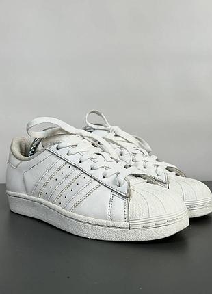 Кросівки adidas superstar